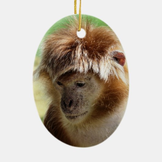 MONKEYS KERAMISCH ORNAMENT (Achterkant)