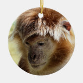 MONKEYS KERAMISCH ORNAMENT (Voorkant)