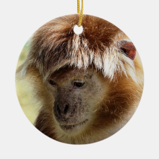 MONKEYS KERAMISCH ORNAMENT (Voorkant)
