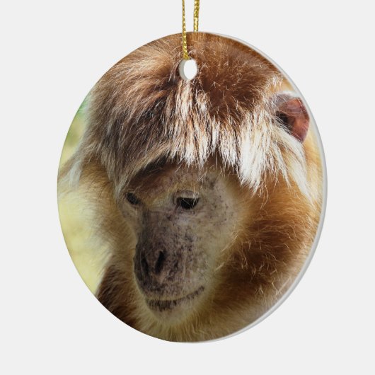 MONKEYS KERAMISCH ORNAMENT (Links)