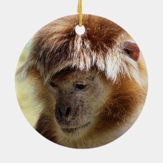 MONKEYS KERAMISCH ORNAMENT (Achterkant)