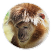 MONKEYS KERAMISCHE KNOP (Voorkant)