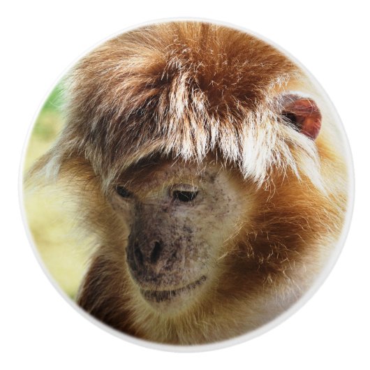 MONKEYS KERAMISCHE KNOP (Voorkant)