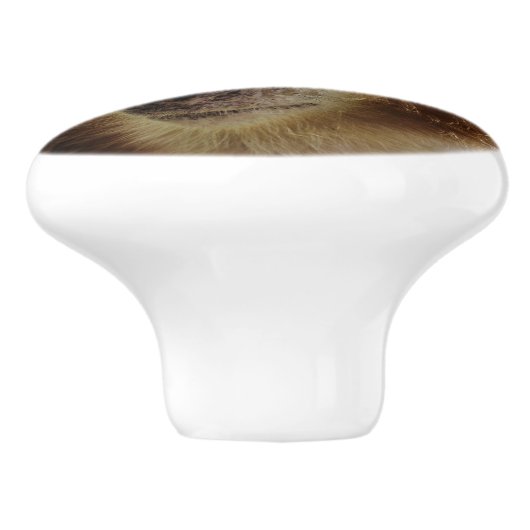 MONKEYS KERAMISCHE KNOP (Zijkant)