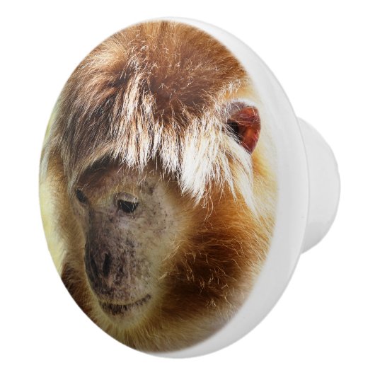 MONKEYS KERAMISCHE KNOP (Rechts)