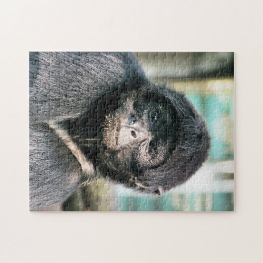 MONKEYS LEGPUZZEL (Horizontaal)