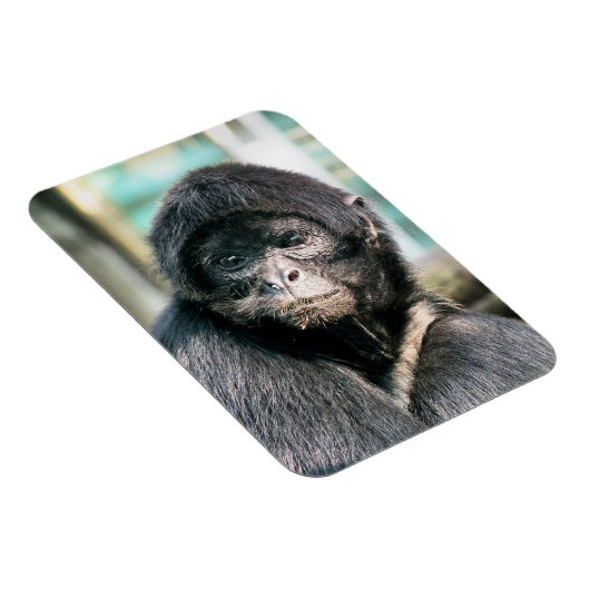 MONKEYS MAGNEET (Rechterzijde)