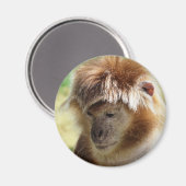 MONKEYS MAGNEET (Voorkant / Achterkant)