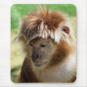 MONKEYS MUISMAT (Voorkant)