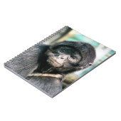 MONKEYS NOTITIEBOEK (Linkerzijde)