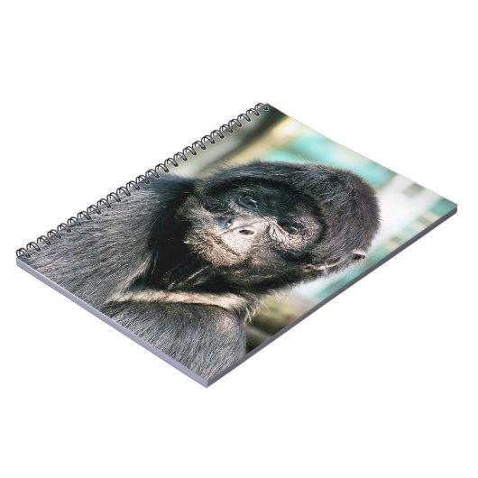 MONKEYS NOTITIEBOEK (Linkerzijde)