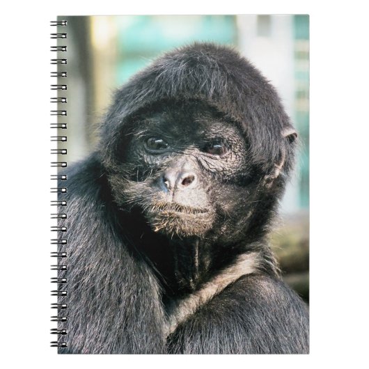 MONKEYS NOTITIEBOEK (Voorkant)