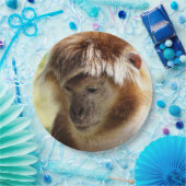 MONKEYS PAPIEREN BORDJE (Feest)