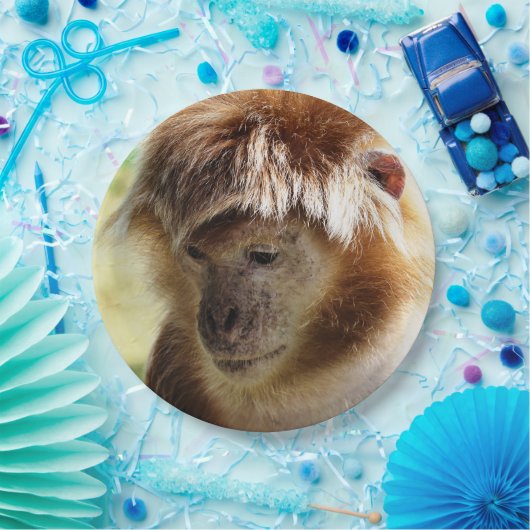 MONKEYS PAPIEREN BORDJE (Feest)