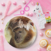 MONKEYS PAPIEREN BORDJE (Feest)