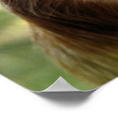 MONKEYS POSTER (Hoek)