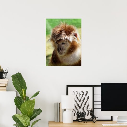 MONKEYS POSTER (Thuiskantoor)