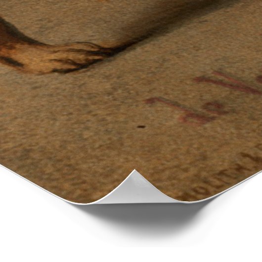 Monkeys Riding Dogs Poster (Hoek)