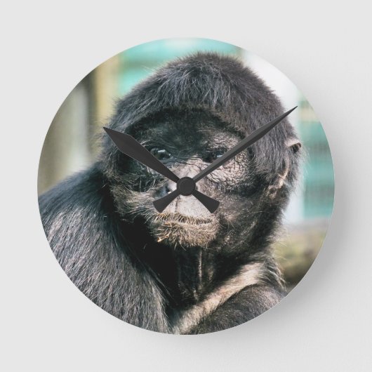 MONKEYS RONDE KLOK (Voorkant)