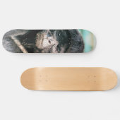 MONKEYS SKATEBOARD (Horizontaal)