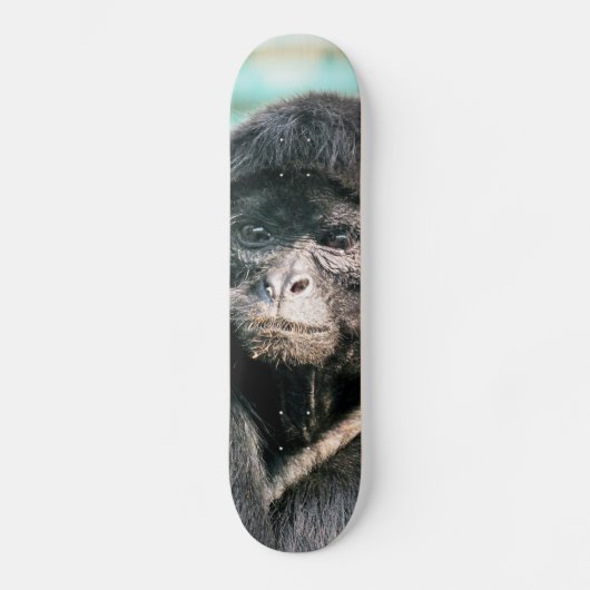 MONKEYS SKATEBOARD (Voorkant)