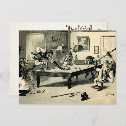 Monkeys Spelen Pool Briefkaart (Voorkant / Achterkant)