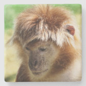 MONKEYS STENEN ONDERZETTER (Voorkant)