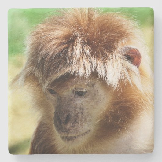 MONKEYS STENEN ONDERZETTER (Voorkant)