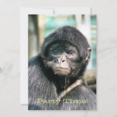 MONKEYS-uitnodiging (Voorkant)