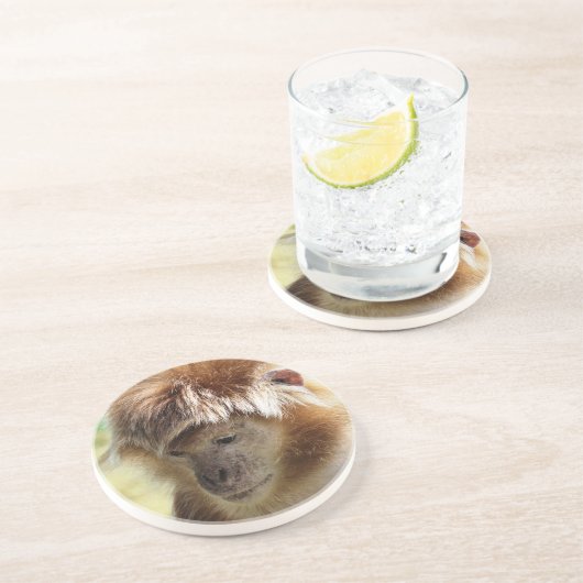 MONKEYS ZANDSTEEN ONDERZETTER (Zijkant)