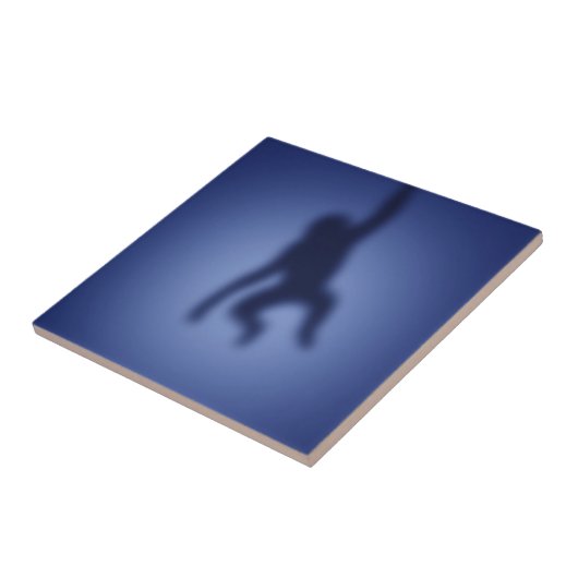 Monkeysilhouet Tegeltje (Zijkant)