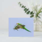 Monkparkiet in de Rio Grande-vallei Briefkaart (Staand voorkant)