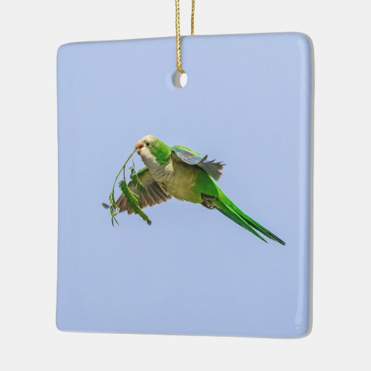 Monkparkiet in de Rio Grande-vallei Keramisch Ornament (Links)