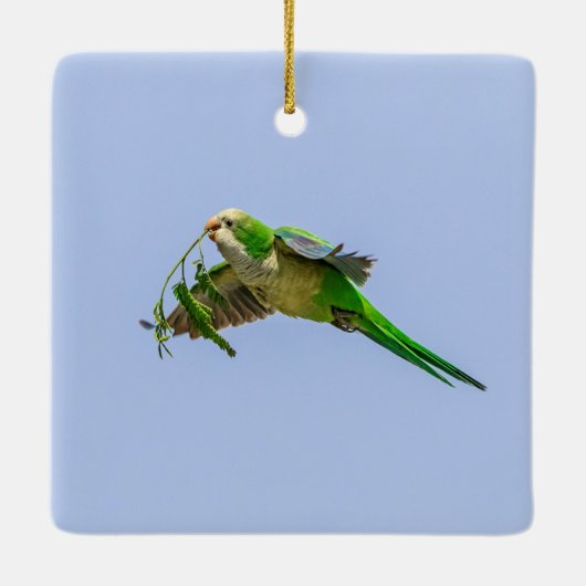 Monkparkiet in de Rio Grande-vallei Keramisch Ornament (Achterkant)