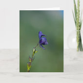 Monk'shood1 Kaart (Voorkant)