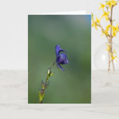 Monk'shood1 Kaart (Gele Bloem)