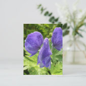 Monkshood Blossom, Unalaska Island Briefkaart (Staand voorkant)