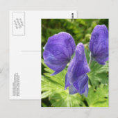 Monkshood Blossom, Unalaska Island Briefkaart (Voorkant / Achterkant)