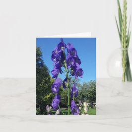 Monkshood Blues Kaart