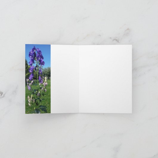 Monkshood Blues Kaart (Binnen)