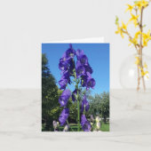 Monkshood Blues Kaart (Gele Bloem)