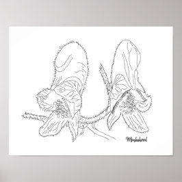 Monkshood Illustratie Poster