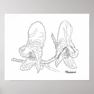 Monkshood Illustratie Poster