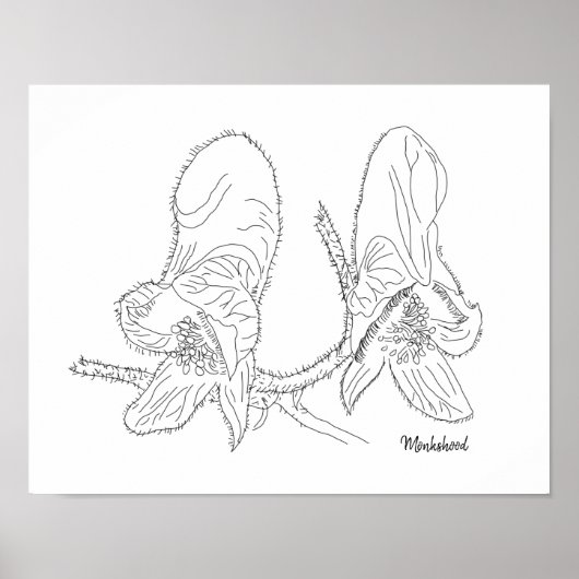 Monkshood Illustratie Poster (Voorkant)