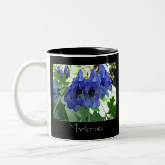 Monkshood Tweekleurige Koffiemok (Links)