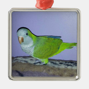 Monniksparkiet Metalen Ornament