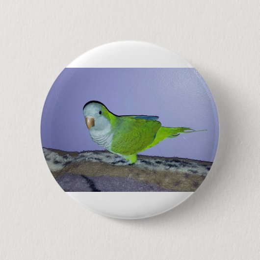 Monniksparkiet Ronde Button 5,7 Cm (Voorkant)