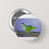 Monniksparkiet Ronde Button 5,7 Cm (Voorkant /achterkant)