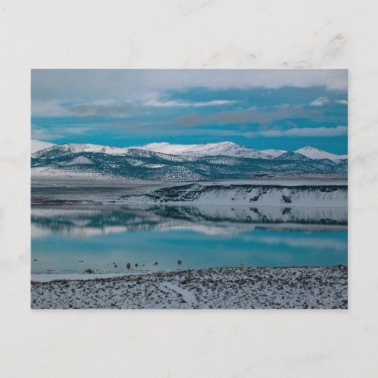 Mono Lake 01 Briefkaart (Voorkant)