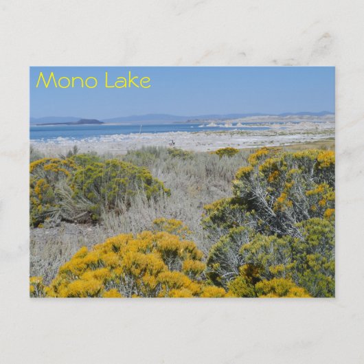 Mono Lake, CA Briefkaart (Voorkant)